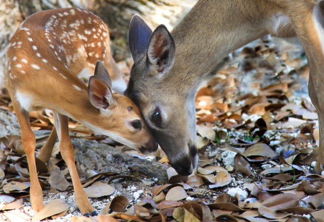 TenderMomentPhotoWeb