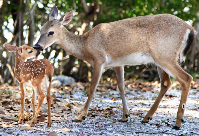 ValPhotoBathPhotoWeb