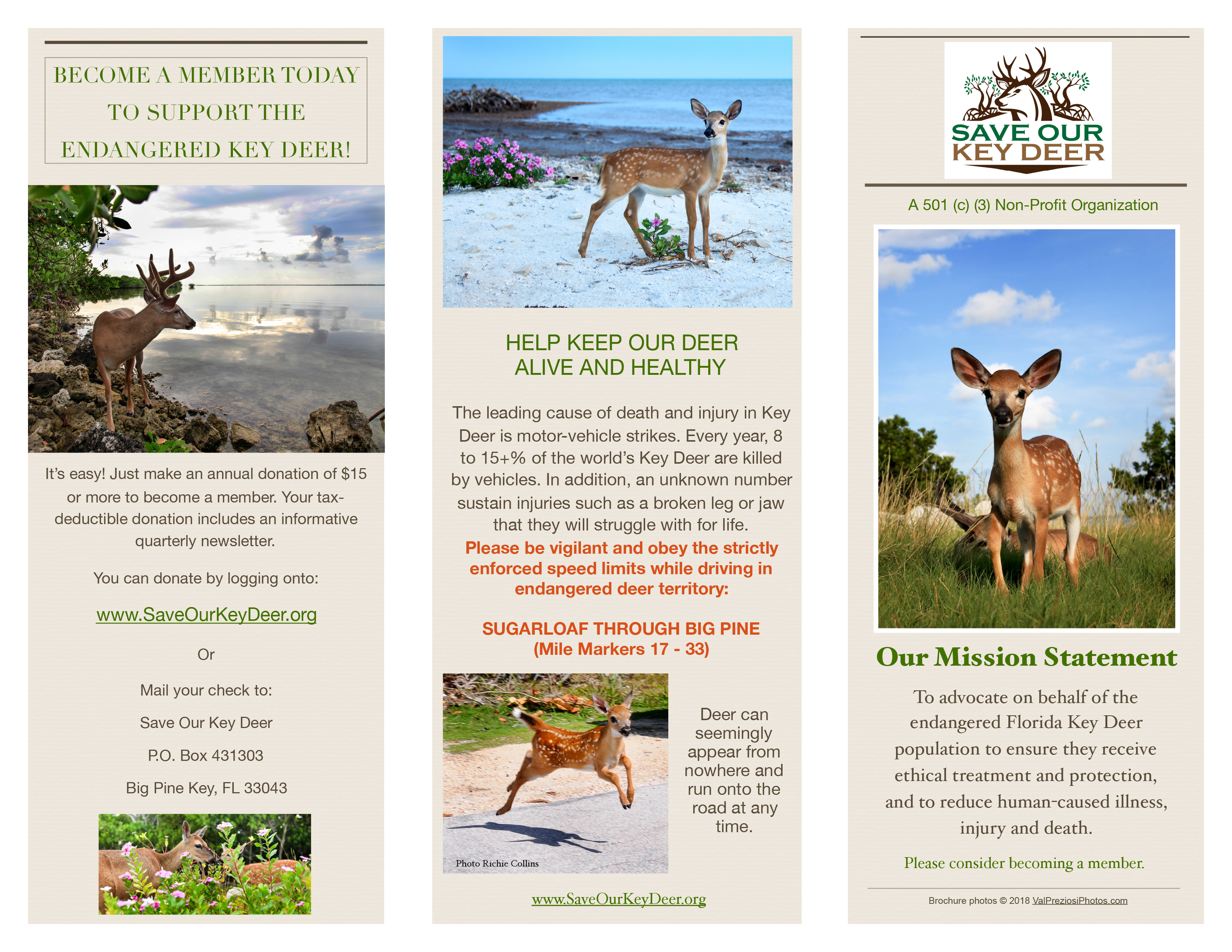 hand out SOKD trifold 9-1-18 workable