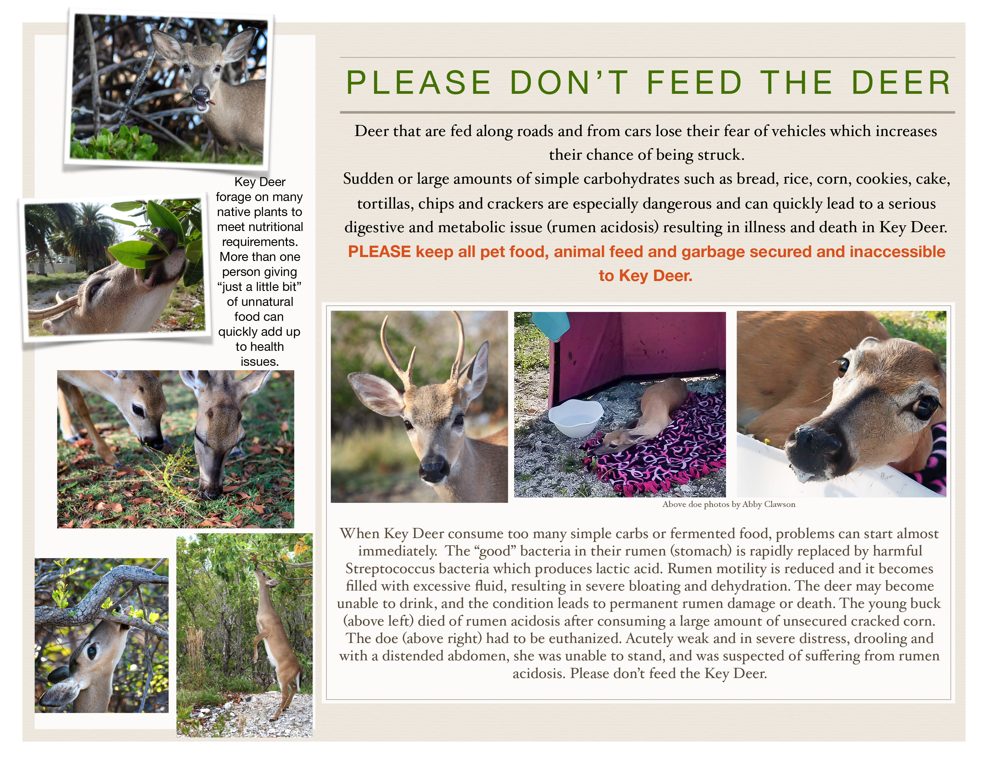 hand out SOKD trifold 9-1-18 workable